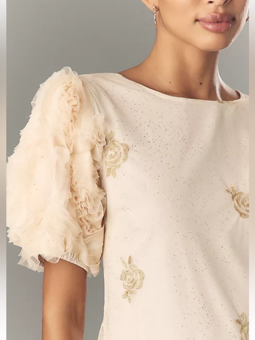 Sheer Embroidered Midi Dress in Blush with Puff Sleeves - Picture 3 of 6